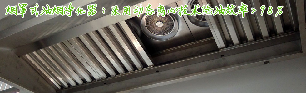 煙罩式油煙凈化器，除油效率>98%，川菜湘菜凈化首選！